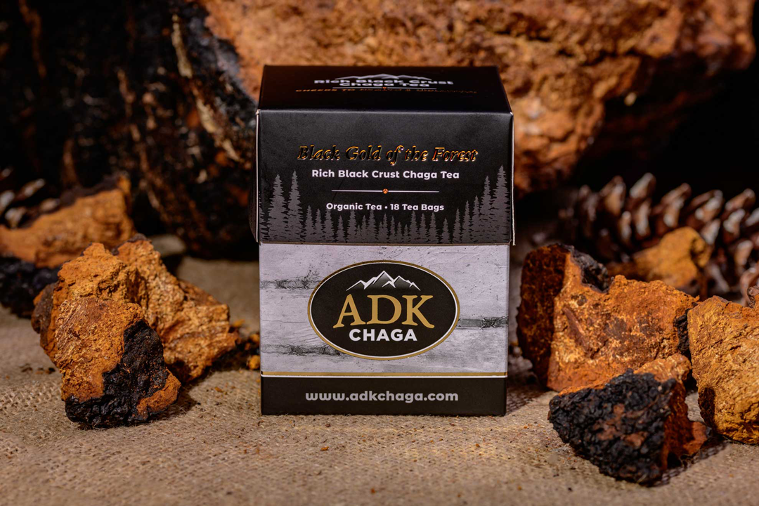 chaga tea adk mushroom